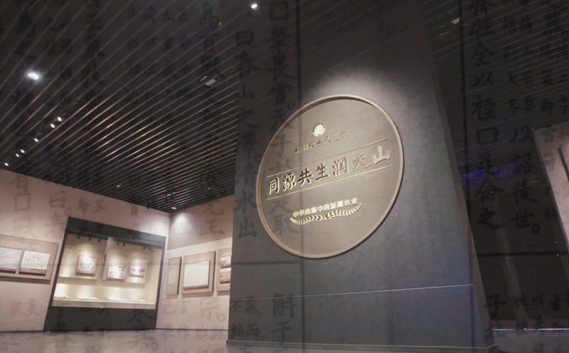 新疆農(nóng)業(yè)展覽館數(shù)字展廳圖片