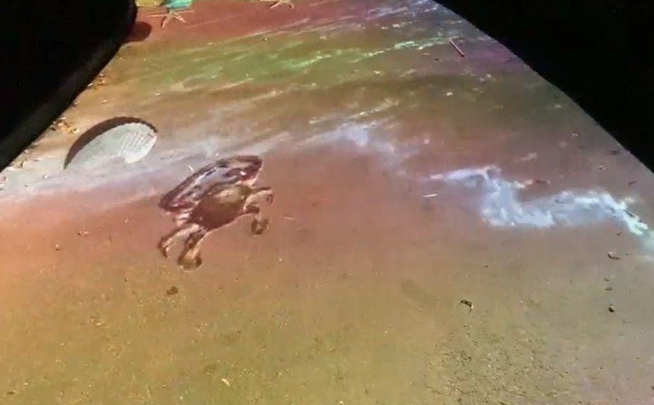 地面投影圖片